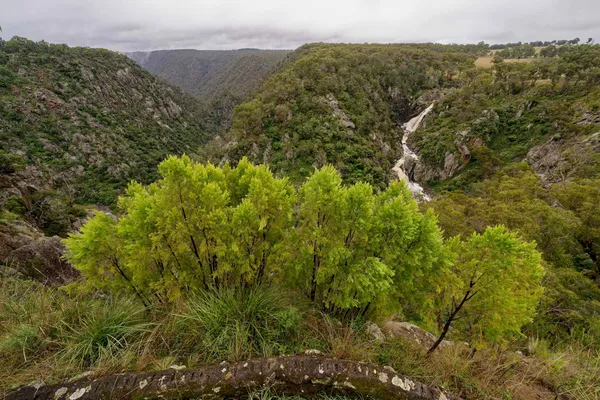 Bakers Creek Falls (4)