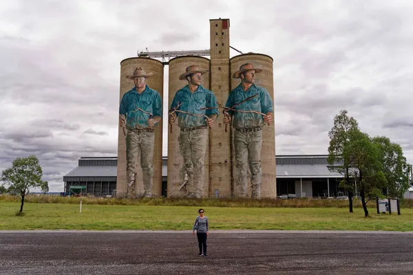 Barraba Silo Art