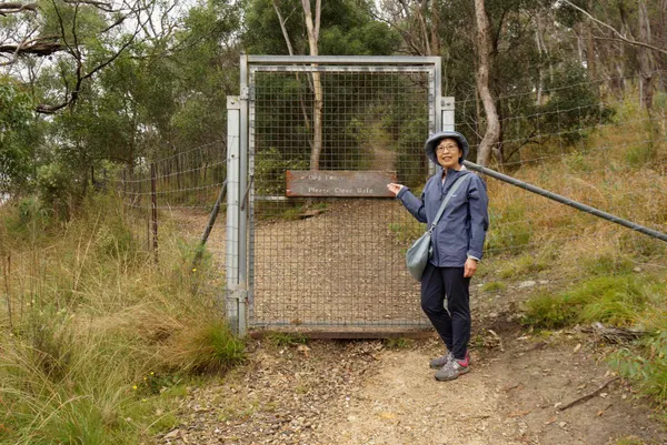 Dangar Gorge (21)