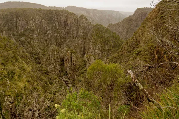 Dangar Gorge (5)