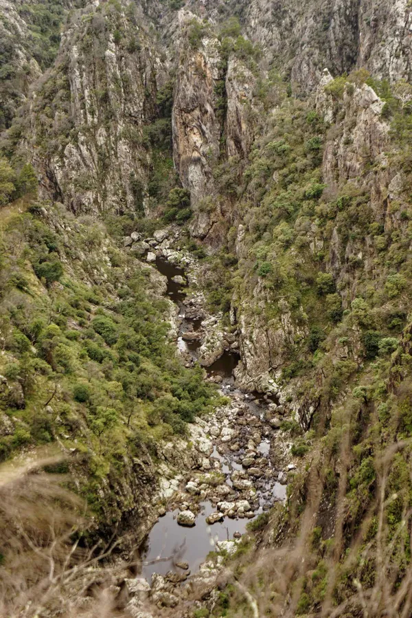 Dangar Gorge (6)