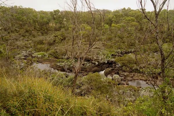 Dangar Gorge (7)