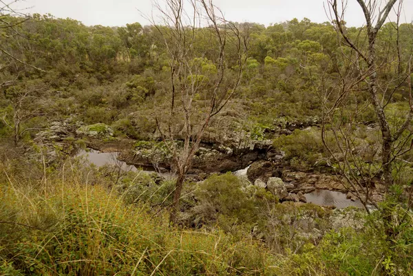 Dangar Gorge (7)