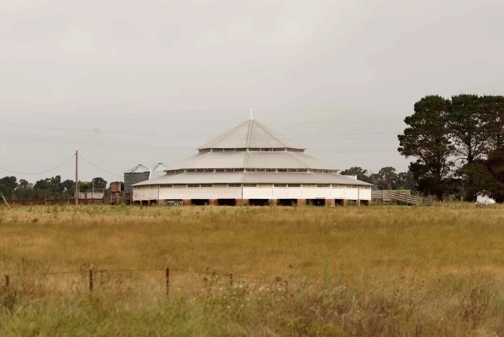 Day 5: Deeargee Woolshed