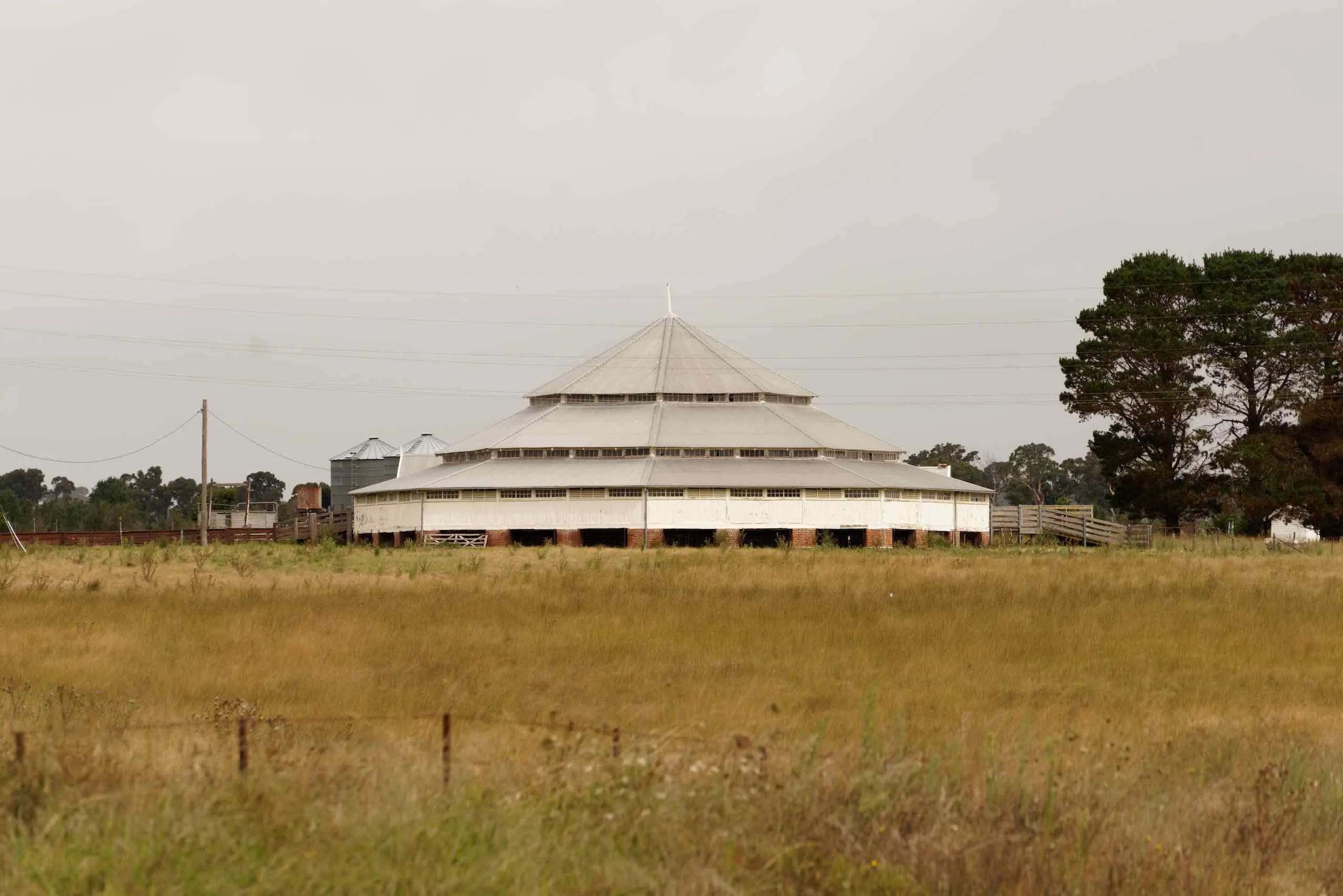 Day 5: Deeargee Woolshed