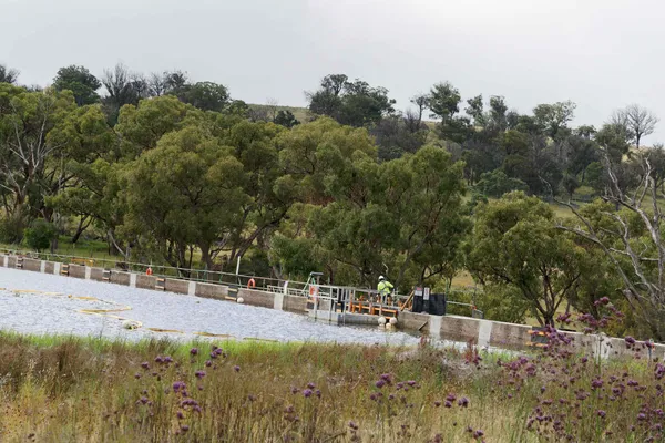 Dumaresq Dam (5)