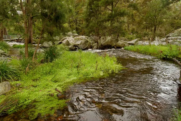 Gara Gorge (39)