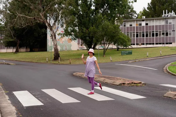 Pedestrian crossing (1)