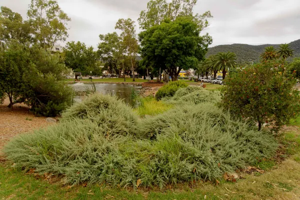 Tamworth Bicentennial Park (4)