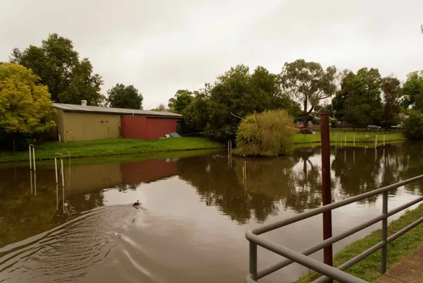 The Armidale School (10)