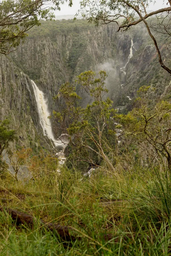 Wollomombi Falls (10)