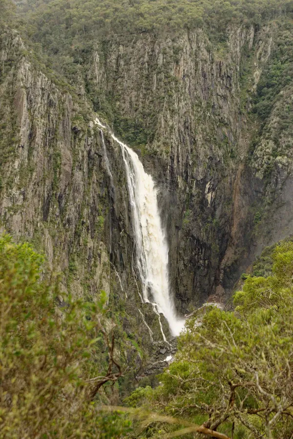 Wollomombi Falls (12)