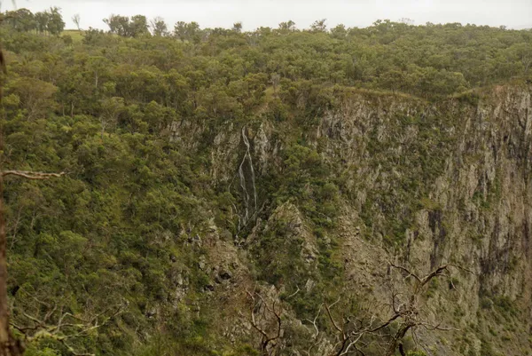 Wollomombi Falls (13)