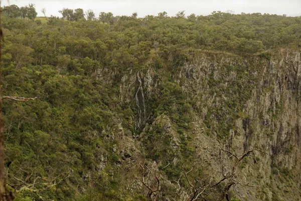 Wollomombi Falls (13)