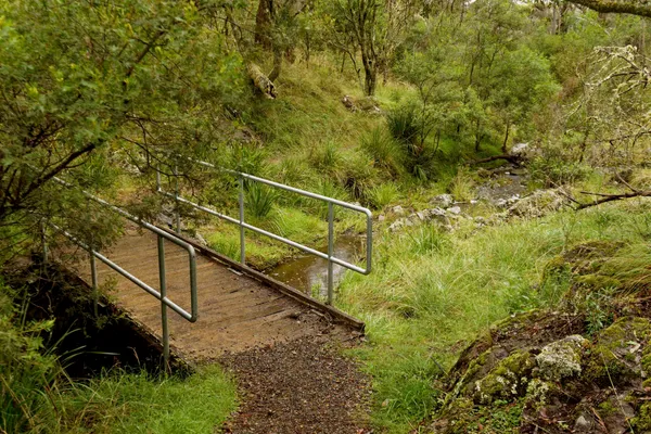 Wollomombi Falls (18)