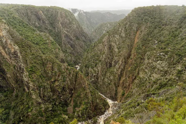 Wollomombi Falls (30)