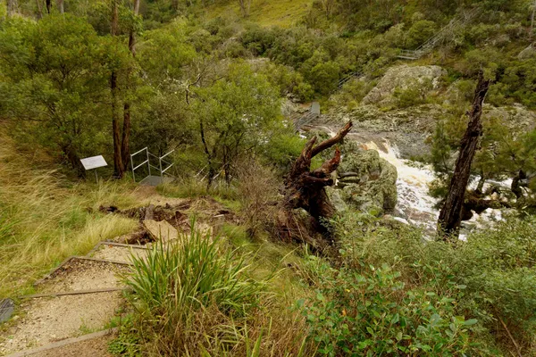 Wollomombi Falls (33)