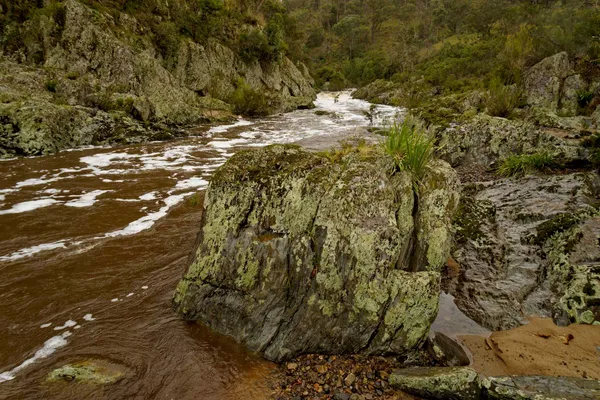 Wollomombi Falls (39)