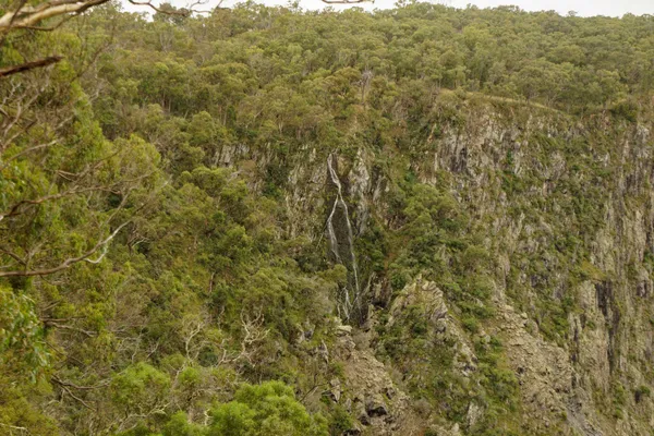 Wollomombi Falls (4)