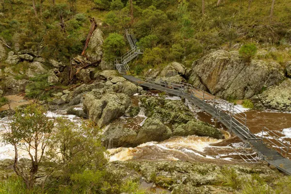 Wollomombi Falls (41)