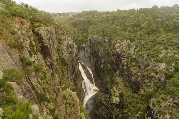 Wollomombi Falls (45)