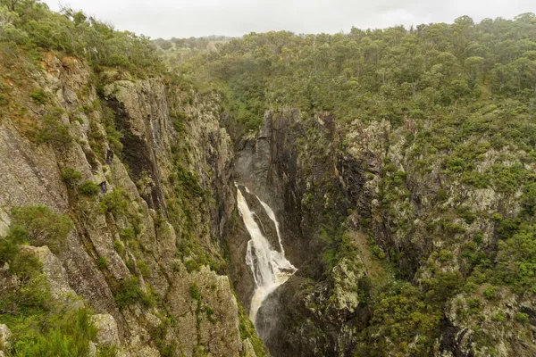 Wollomombi Falls (45)