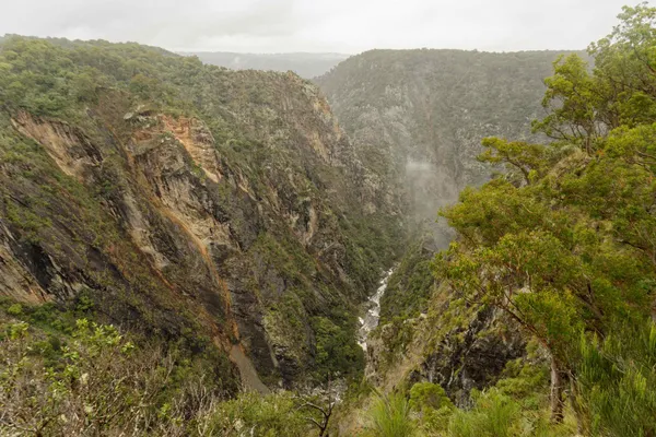 Wollomombi Falls (46)