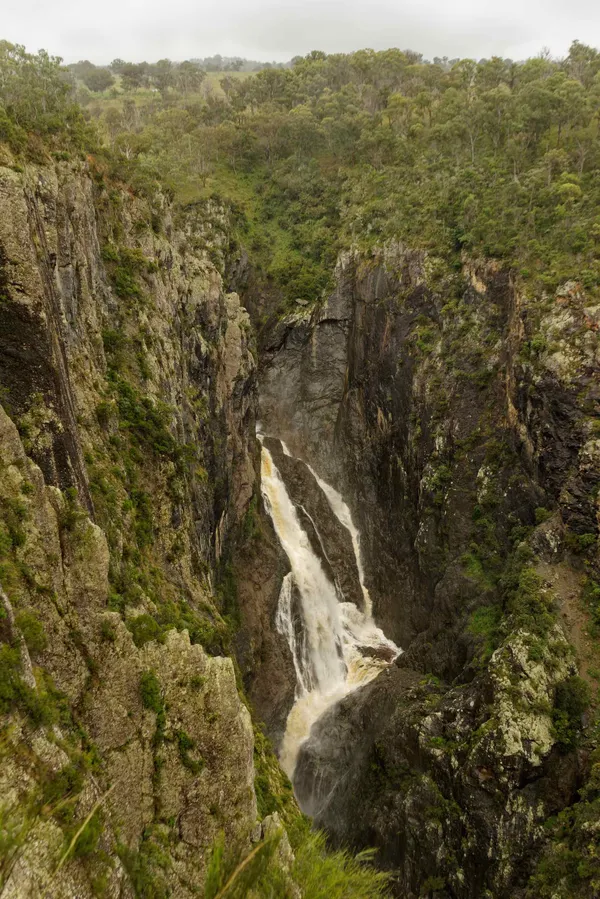 Wollomombi Falls (47)