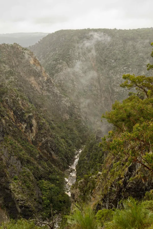 Wollomombi Falls (50)