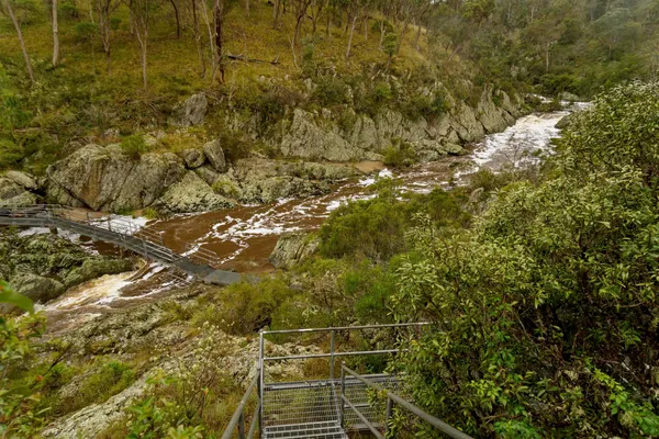 Wollomombi Falls (52)