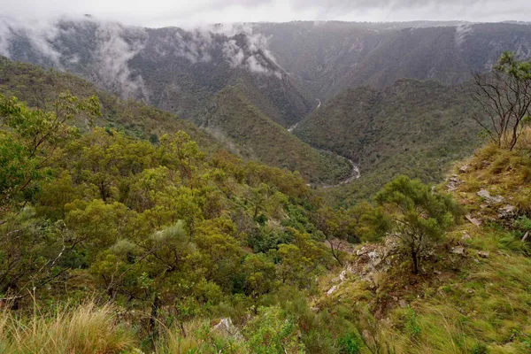 Wollomombi Falls (55)