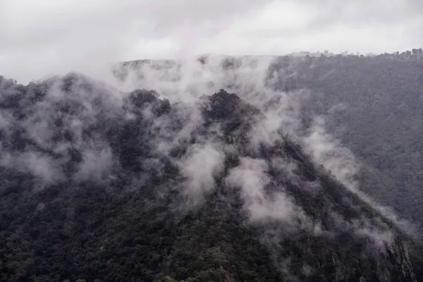 Wollomombi Falls (56)