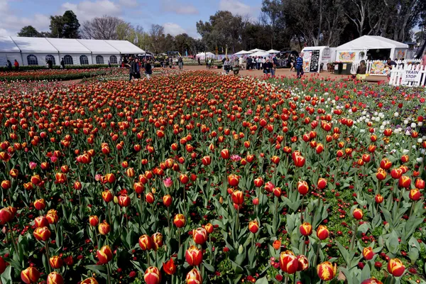 Floriade 2022 (13)