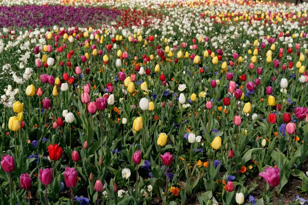 Floriade 2022