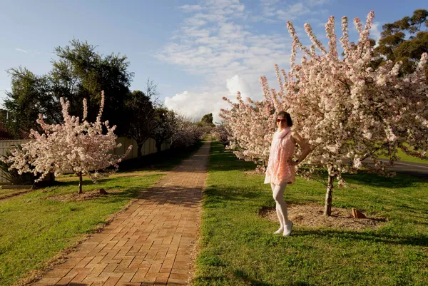 Sakura Avenue (4)