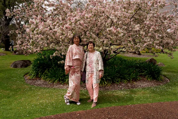 Sakura Matsuri (61)