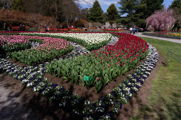 Tulip Top Gardens (100)