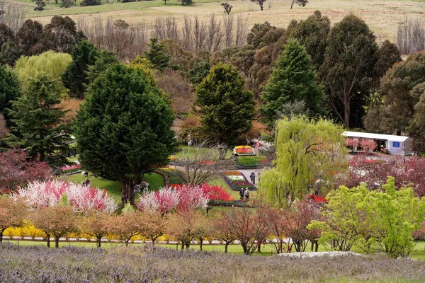 Tulip Top Gardens (60)