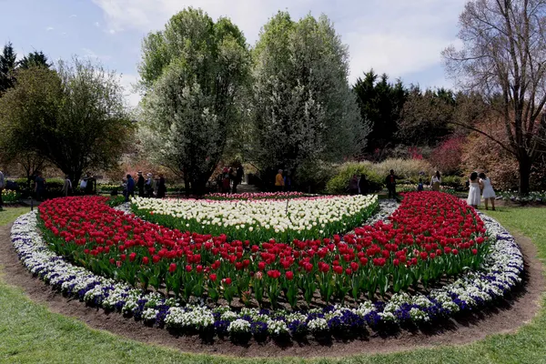 Tulip Top Gardens (97)