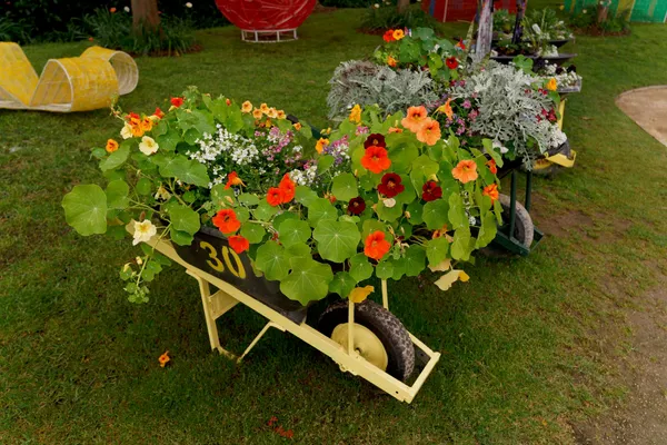 Wheelbarrow (27)