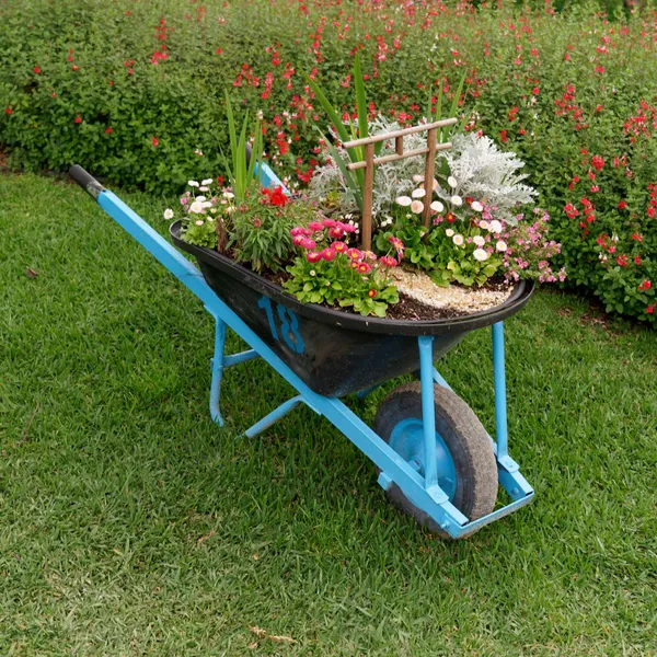 Wheelbarrow (9)