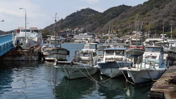 Boats on harbour