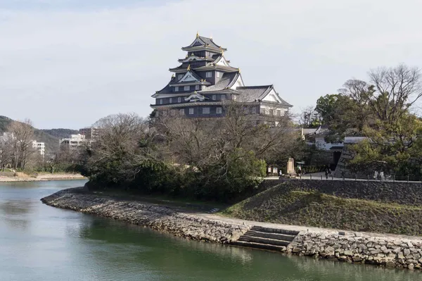 Castle on Asahigawa river