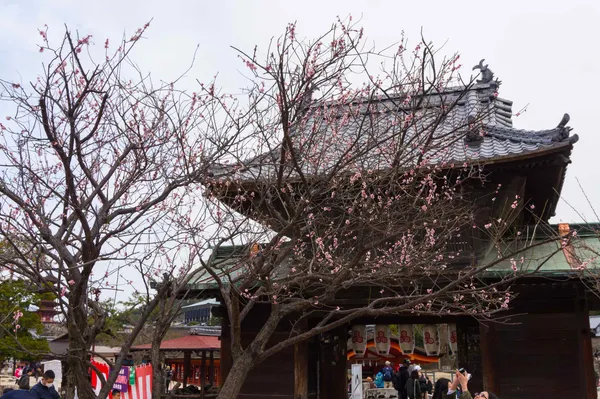 Daiganji Temple (3)