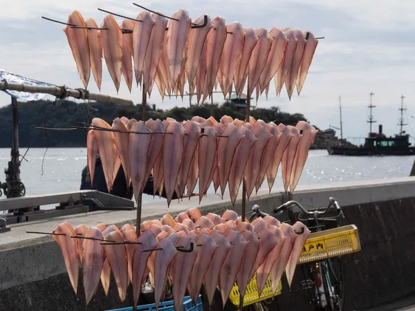 Drying fish