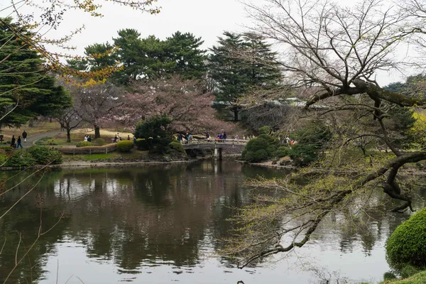 Japanese traditional garden (1)