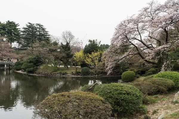 Japanese traditional garden (2)