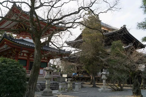 Kohojo, Ohojo