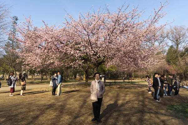 Lyn at Inokashira Onshi park