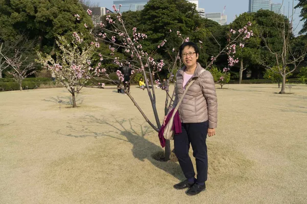 Lyn, cherry blossom